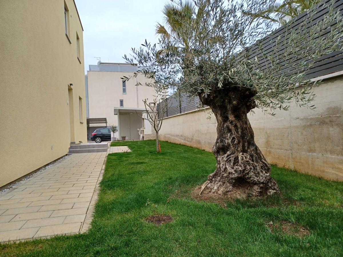 Apartments Leon 1 Novigrad Istria 外观 照片